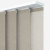 Classe Dove Grey - Image 4