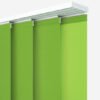 Apple Green Dimout - Image 4