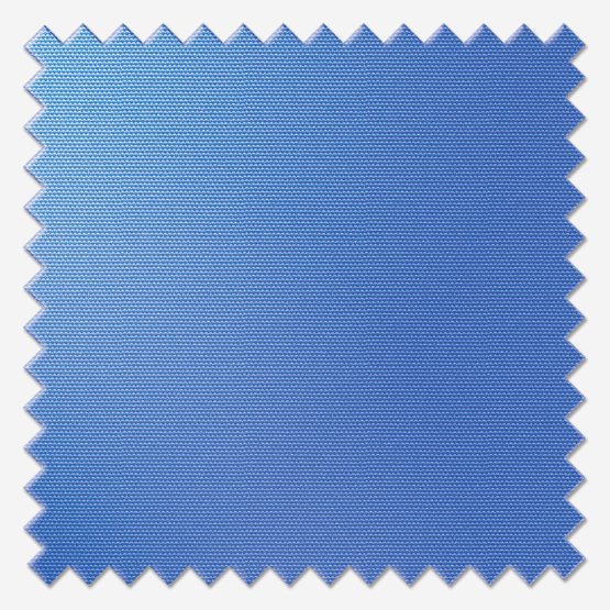 Cornflower Blue Dimout