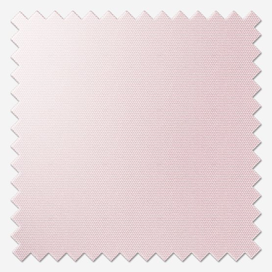 Peony Pink Blackout