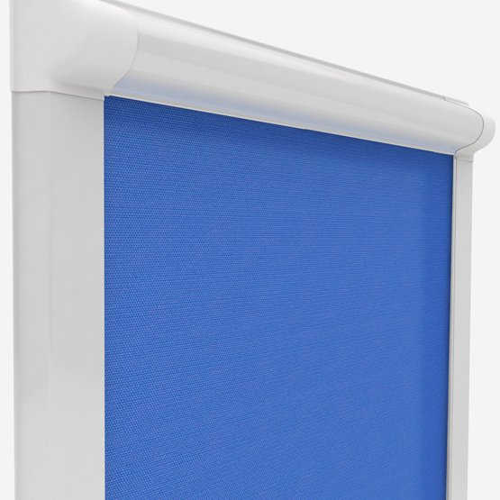Cornflower Blue Dimout