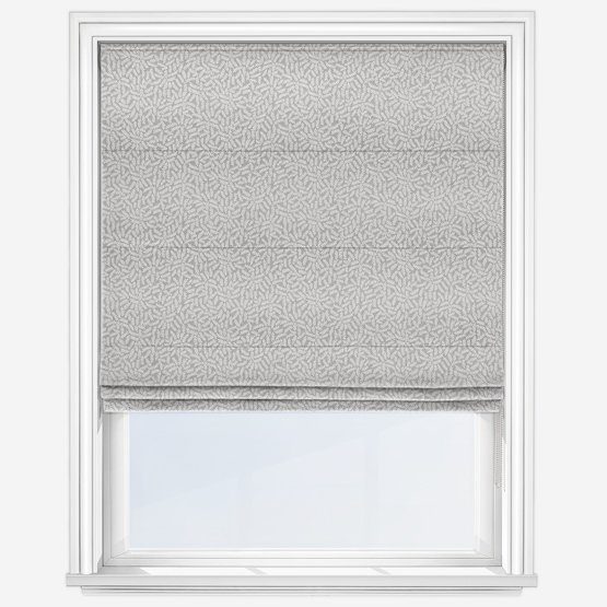 Dove Grey