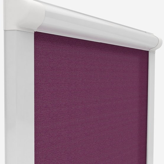 Plum Blackout